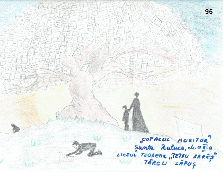 95_Raluca SANTA_Lic Tg Lapus.jpg